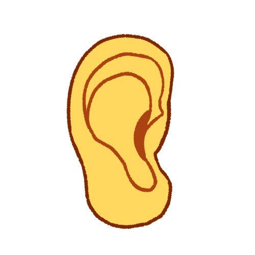 a right ear. it is slightly realistic with a large earlobe. 